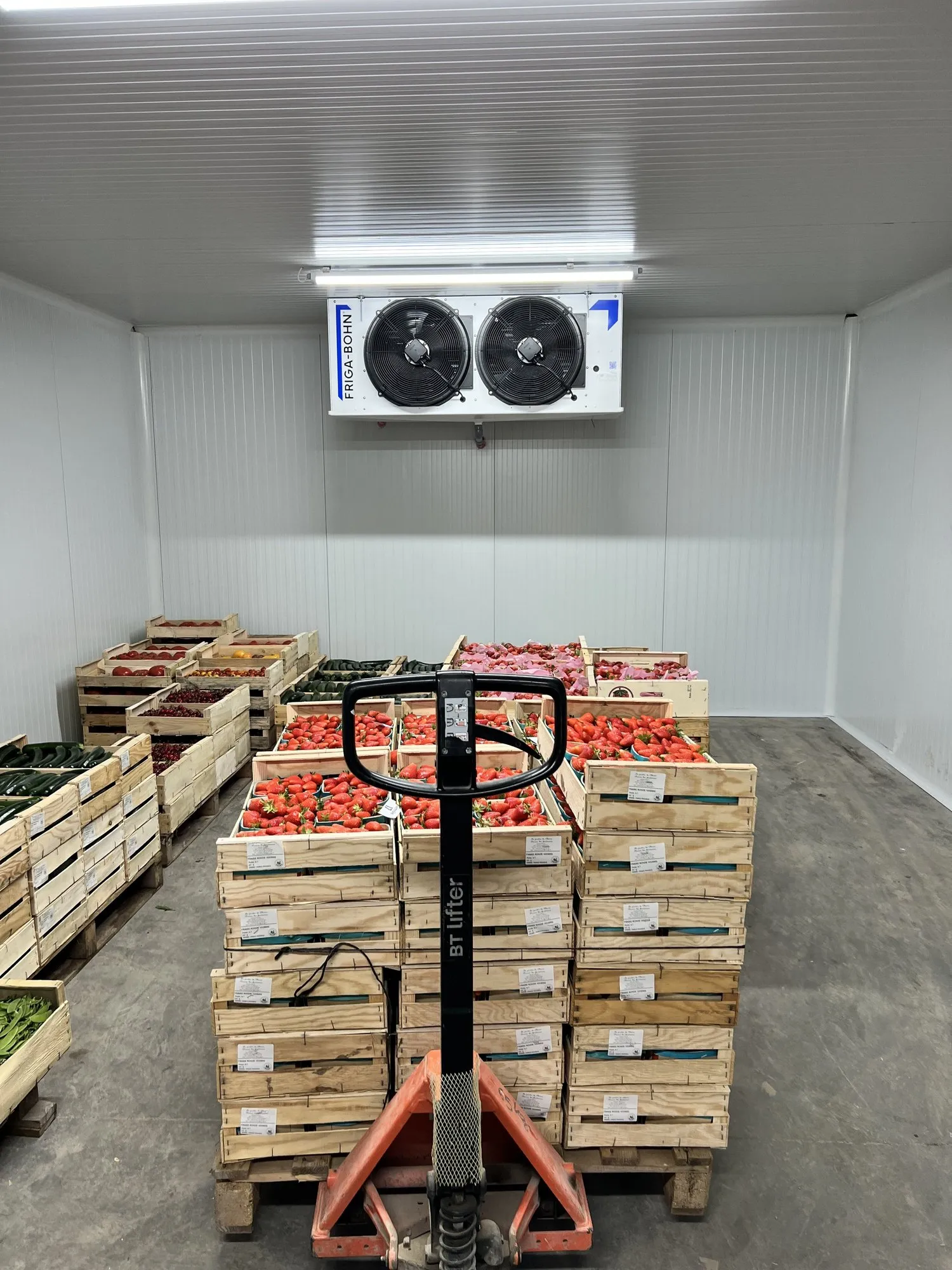 Chambre froide positive terminée : cagettes de fraises et de fruits empilées sur palettes, transpalette au premier plan, évaporateur double ventilateur au plafond