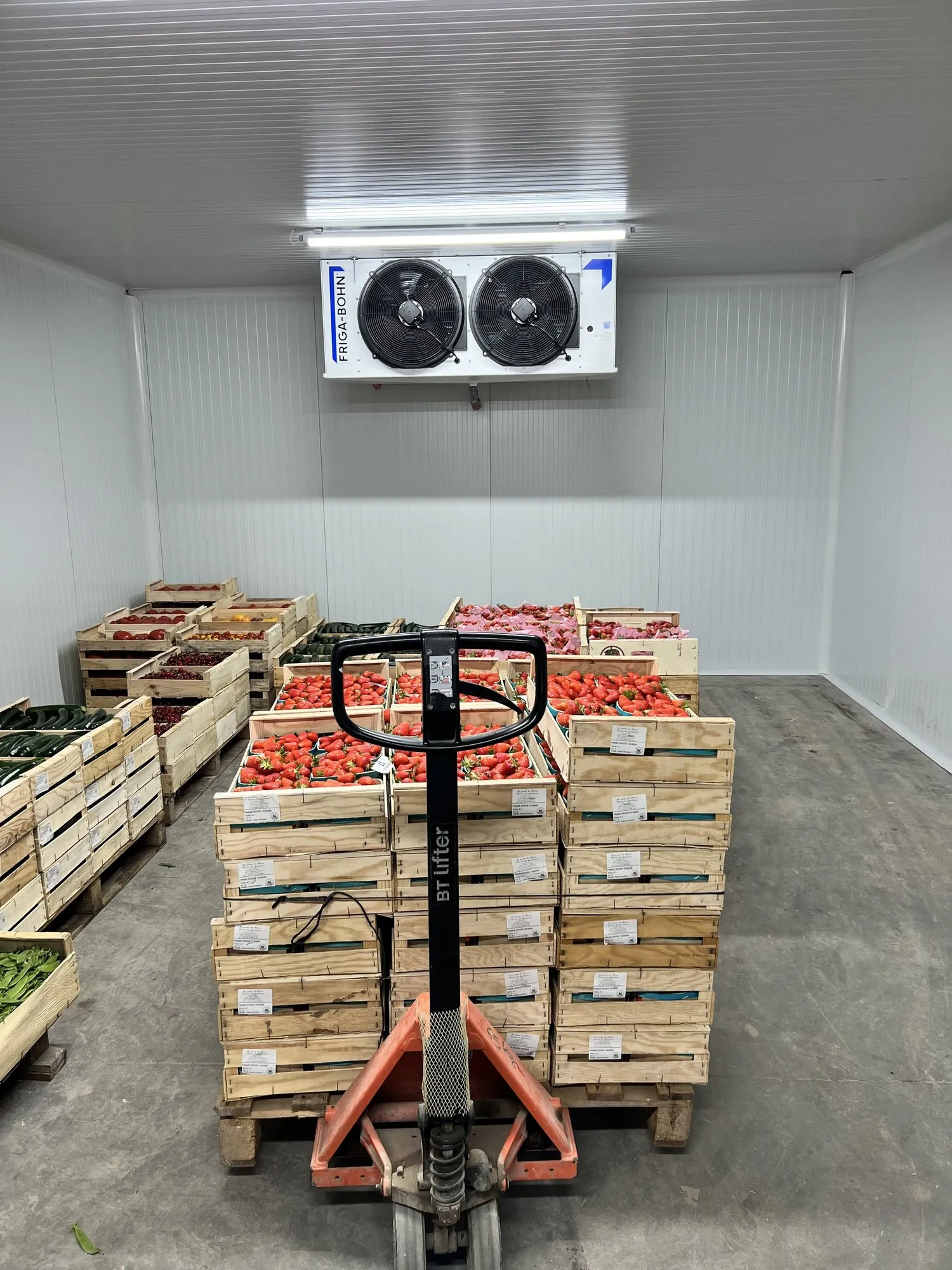 Intérieur de la chambre froide avec les palettes de fruits et le transpalette, panneaux sandwich blancs