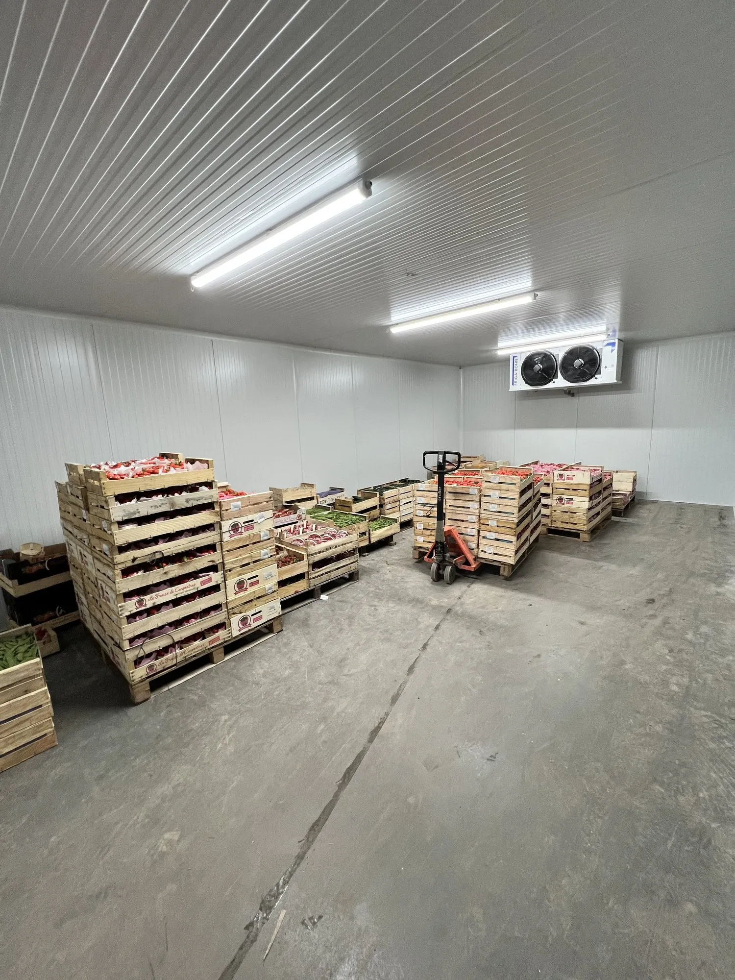 Chambre froide positive avec cagettes de légumes sur palettes, évaporateur au fond et éclairage étanche