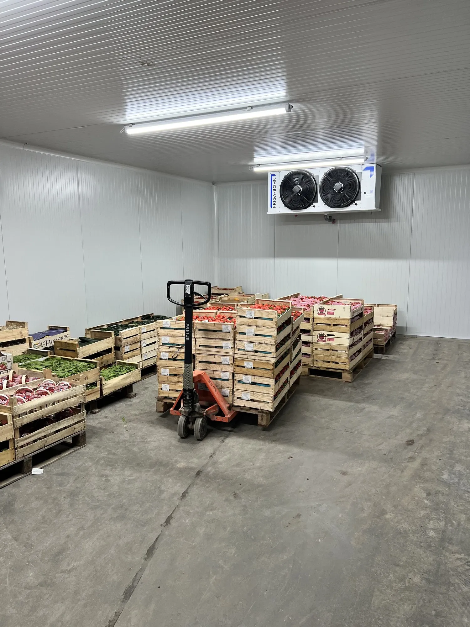 Vue d'ensemble de la chambre froide : cagettes de fruits et légumes, transpalette, évaporateur double ventilateur