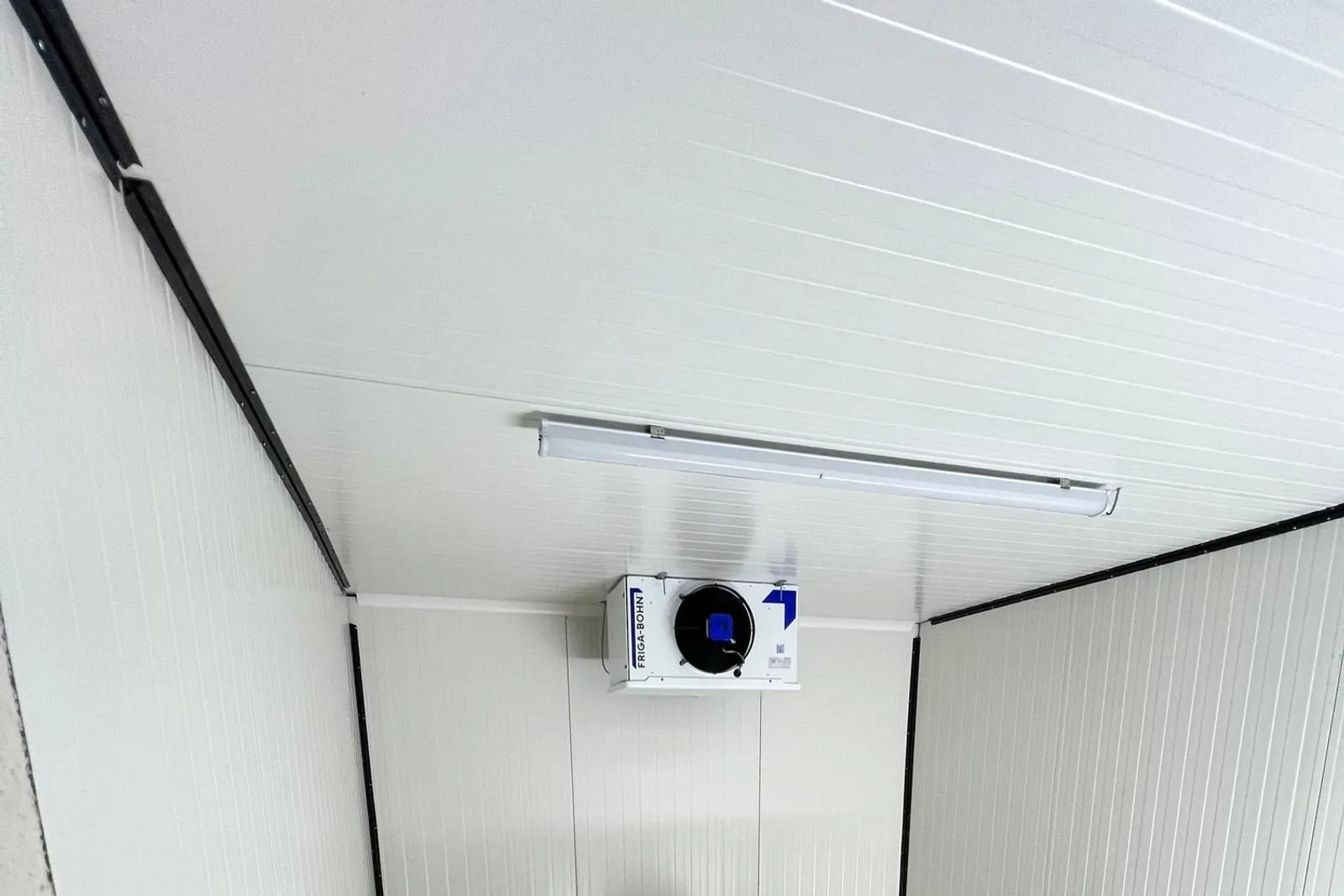 Évaporateur plafonnier d'une chambre froide en panneaux blancs, contrôlé lors d'un entretien