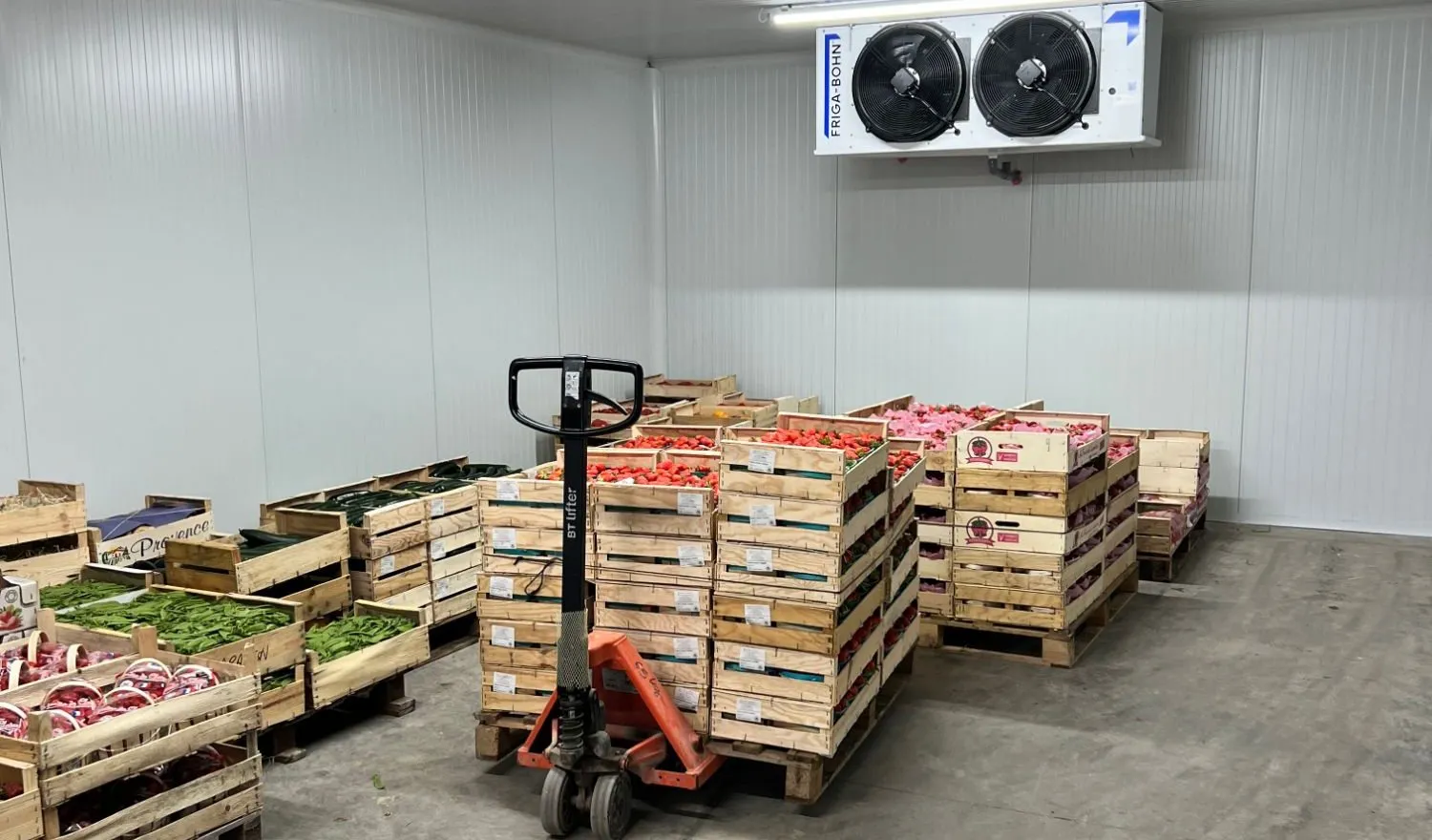 Intérieur d'une chambre froide positive en panneaux blancs : évaporateur double ventilateur au plafond et cagettes de fruits sur palettes