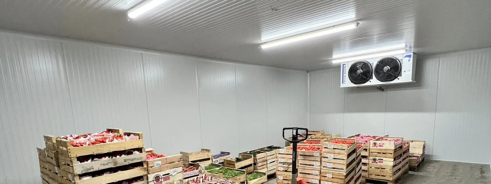 Chambre froide positive en exploitation : cagettes de fruits sur palettes sous un évaporateur double ventilateur, panneaux blancs